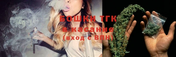 индика Балахна