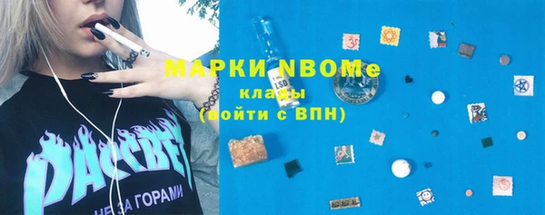 индика Балахна