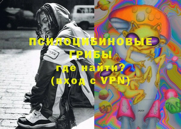 apvp Верхний Тагил