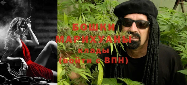 индика Балахна