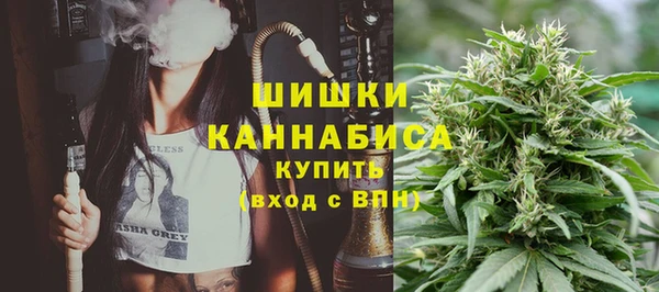 индика Балахна