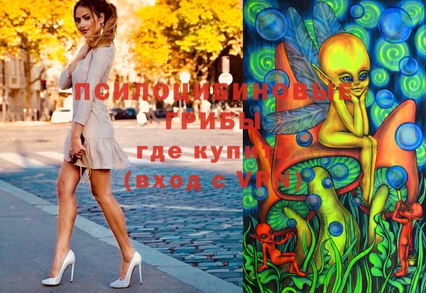 индика Балахна