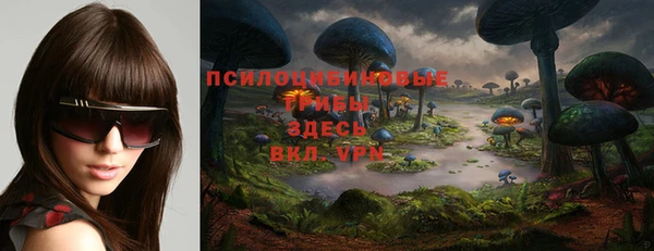 индика Балахна