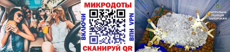 Псилоцибиновые грибы Cubensis  Купить закладки  Светлый 