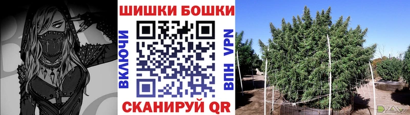 Купить  Светлый  Бошки Шишки MAZAR 